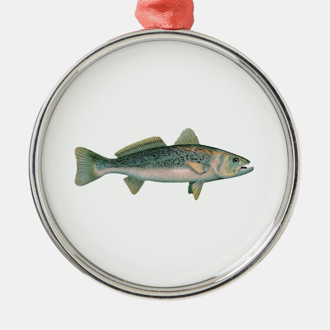 Ornamento De Metal Weakfish - Seatrout - Squeteague (Frente)