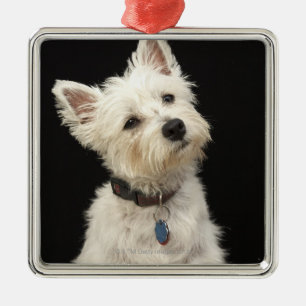 Ornamento De Metal Westie (terrier ocidental das montanhas) com colar