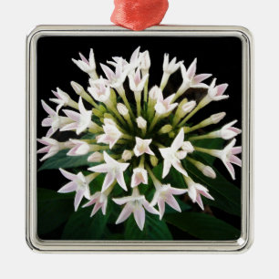 Ornamento De Metal White Pentas