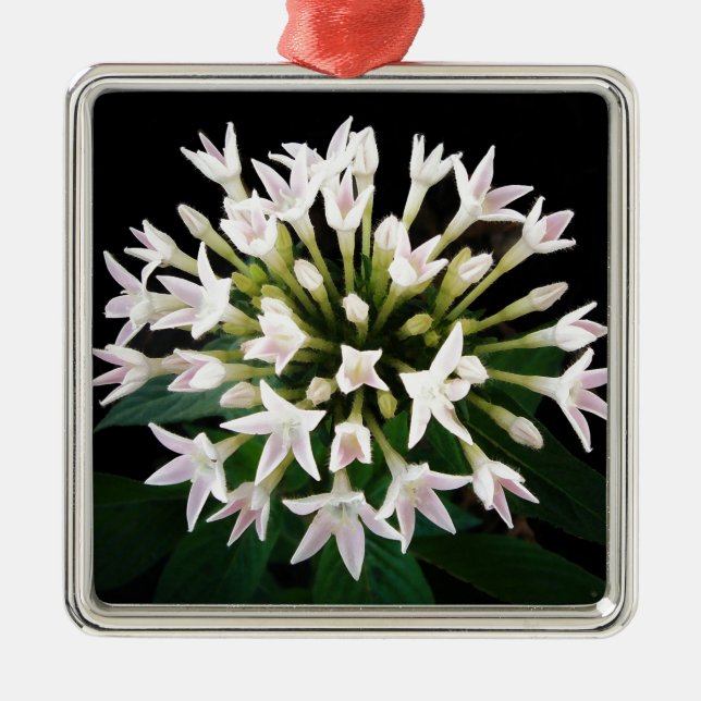 Ornamento De Metal White Pentas (Frente)