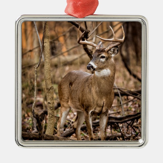 Ornamento De Metal White Tail Deer Buck (Frente)