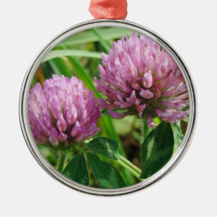 Ornamento De Metal Wildflower cor-de-rosa do trevo - pratense do