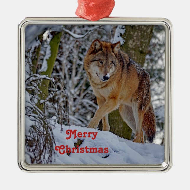 Ornamento De Metal Wildlife Wolf Snow Foto Natal (Frente)