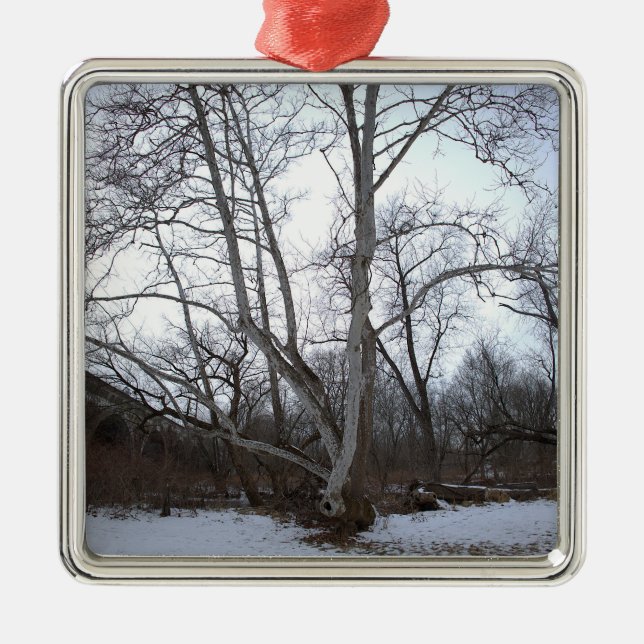 Ornamento De Metal Winter Tree in Snow Ornament (Frente)