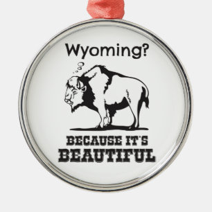 Ornamento De Metal Wyoming? Porque é lindo