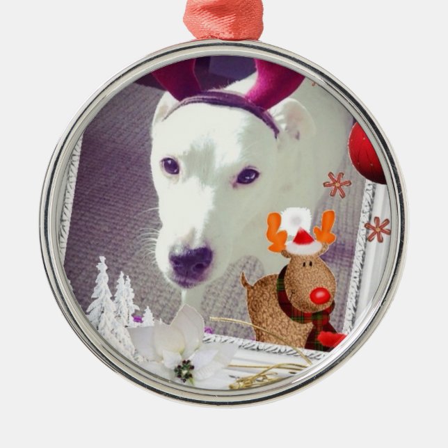 Ornamento De Metal Xmas de Jack Russell (Frente)