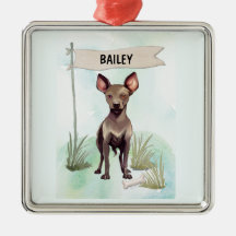 Xoloitzcuintli Aquarela Cachorro Personalizado
