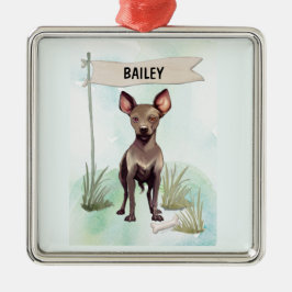 Ornamento De Metal Xoloitzcuintli Aquarela Cachorro Personalizado