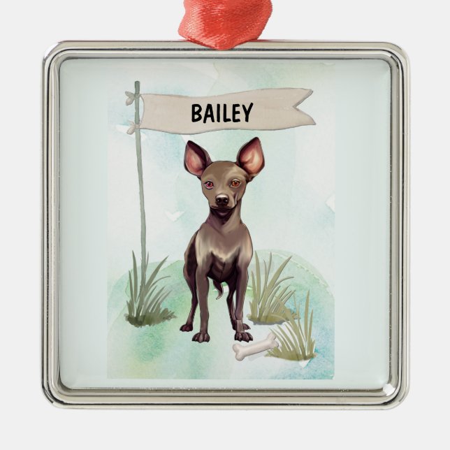 Ornamento De Metal Xoloitzcuintli Aquarela Cachorro Personalizado (Frente)