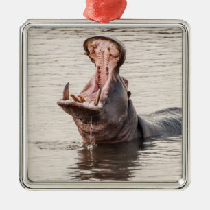 Ornamento De Metal Yawning Hippo