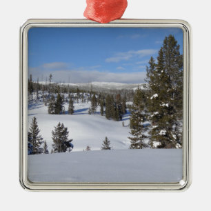 Ornamento De Metal Yellowstone Winter Landscape Photoshop