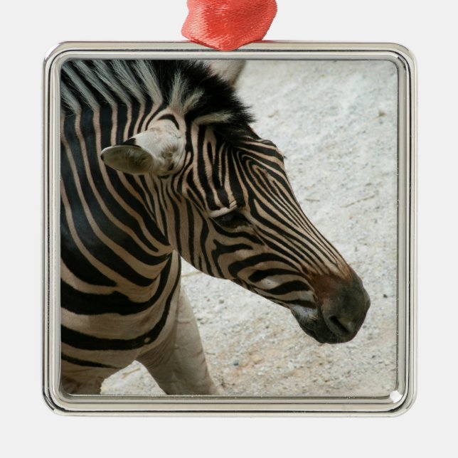Ornamento De Metal Zebra Ornament (Frente)