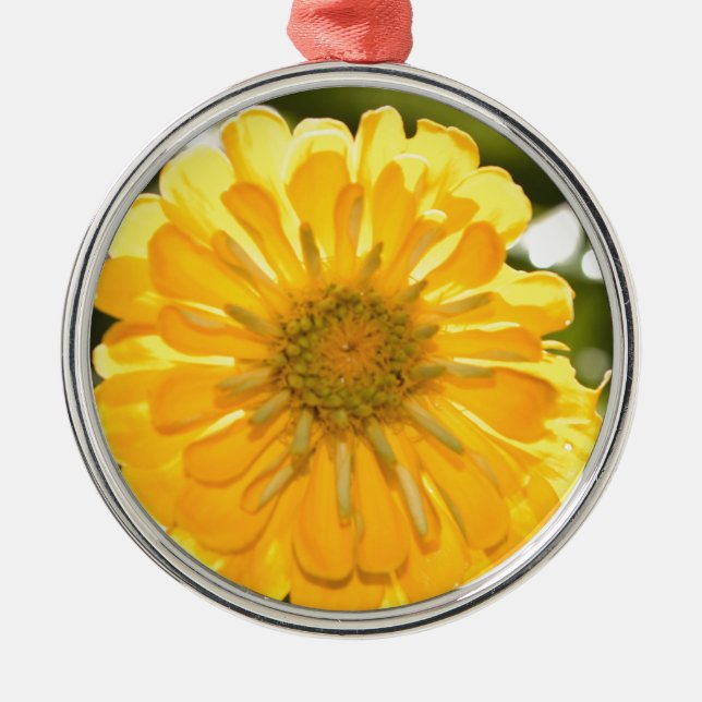 Ornamento De Metal Zinnia amarela, margarida amarela, flor amarela (Frente)