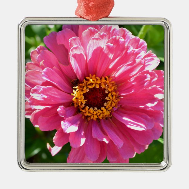Ornamento De Metal Zinnia Rosa (Frente)