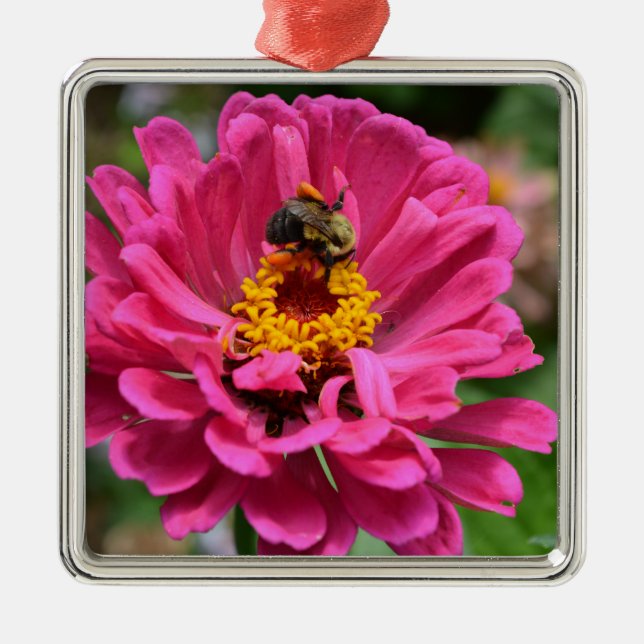 Ornamento De Metal Zinnia rosa e abelha-lombo (Frente)