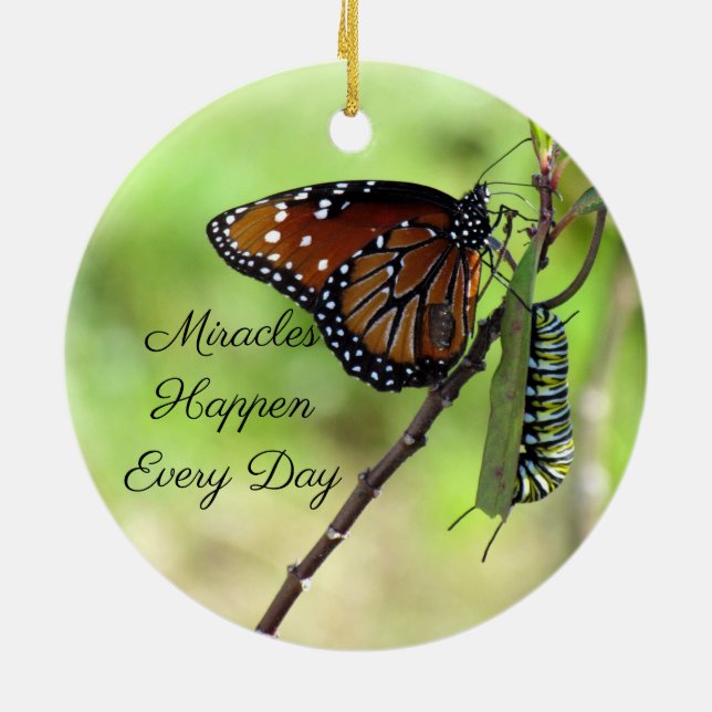 Ornamento de milagres- Borboleta / Lagarta - (Traseira)