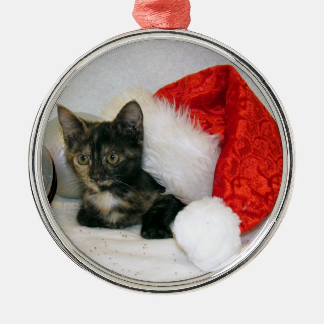 Ornamento de Natal de Holley (Cat / Kitten) (Frente)