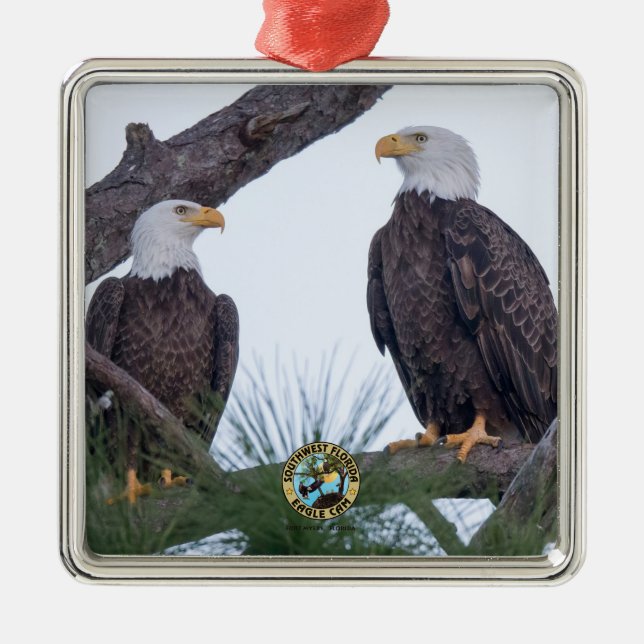 Ornamento de Objetivos de Casal do SWFL Eagle (Frente)
