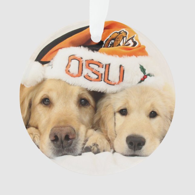 Ornamento de ParkerPup 2014-15 & de Reser (Frente)