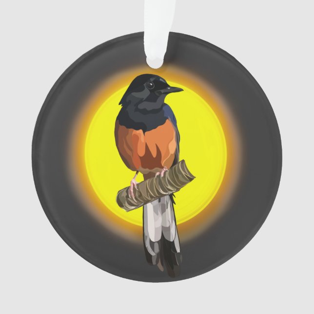 Ornamento de Pássaros Shama com Ruptura Branca (Frente)