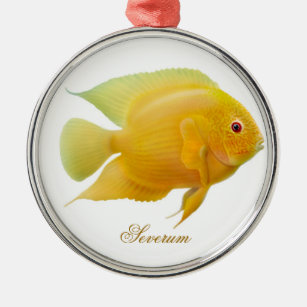 Ornamento de Peixes de Aquário Severo de Limão Dou