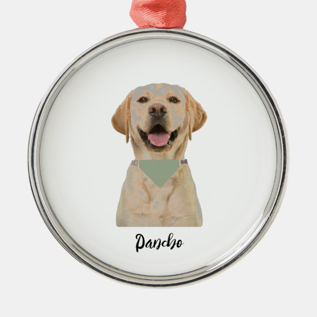 ORNAMENTO DE PET PERSONALIZADO (Frente)