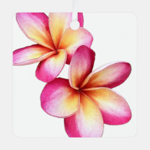 Ornamento de Plumeria Rosa