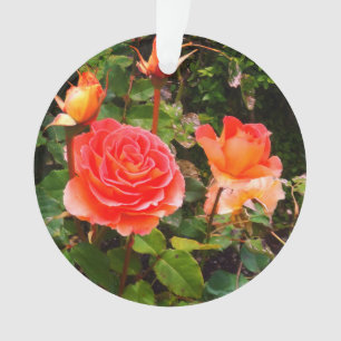 Ornamento de Rosa de Banda de de marca nº 1