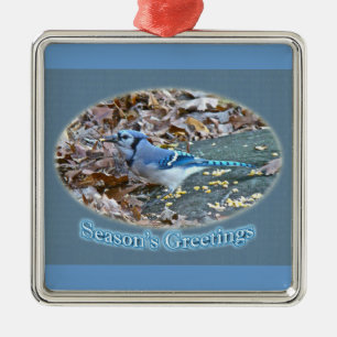 Ornamento de Saudações de Blue Jay Season