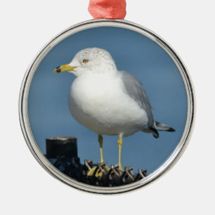 Ornamento de Seagull