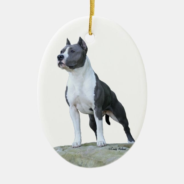 Ornamento de Staffordshire Terrier americano (Frente)
