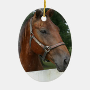 Ornamento de um quarto da foto do cavalo