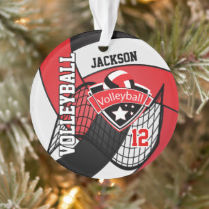 Ornamento 🏐 de Voleibol Vermelho, Preto e Branco:
