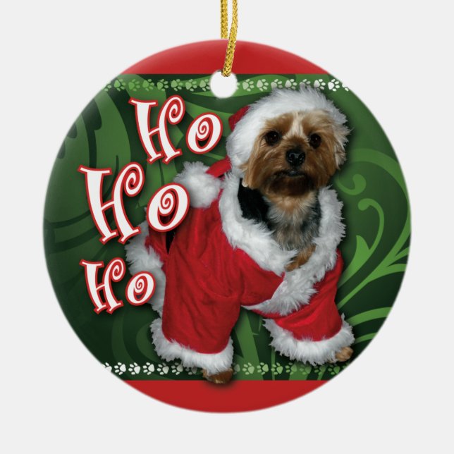 Ornamento de Yorkie do papai noel (Frente)