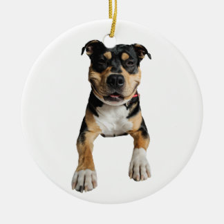 Ornamento - déco de Natal - Desenho Idol