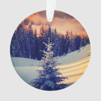 Ornamento Décoration sapin de noël 