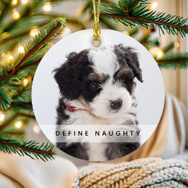 Ornamento Defina Travesso Pet | Foto Árvore de Natal