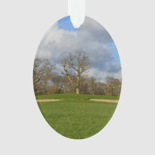 Ornamento Deixe-nos jogar o golfe