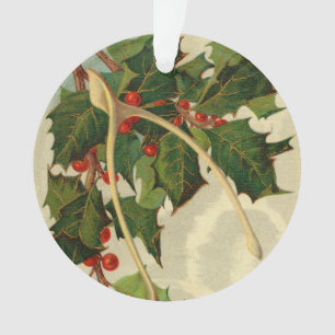 Ornamento Desejos de Boas Festas para o Ano Novo - Cartão Po