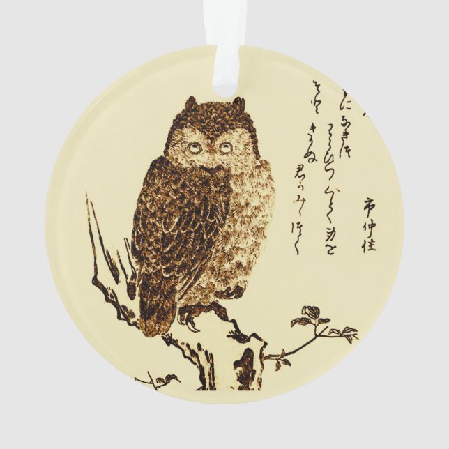 Ornamento Desenho de tinta japonesa de uma coruja (Verso)