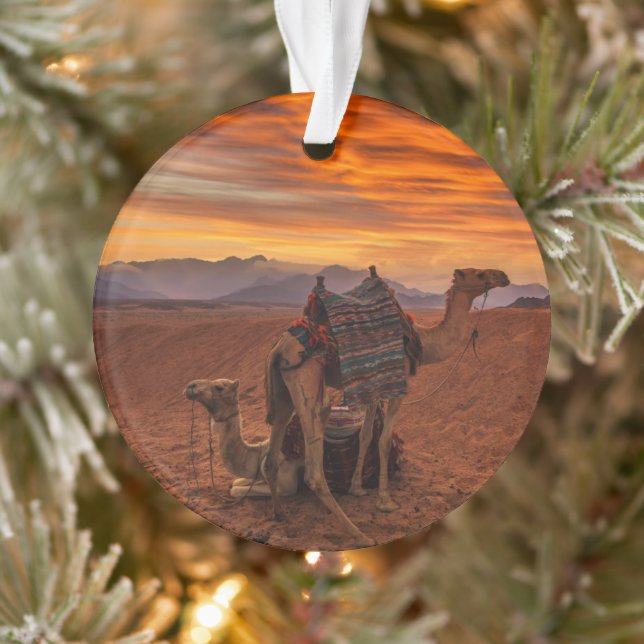 Ornamento Deserts | Bactrian Camel Egypt Sand Dune (Árvore)