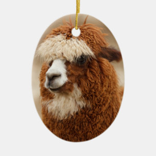 Ornamento do Alpaca