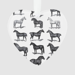 Ornamento do amante do cavalo