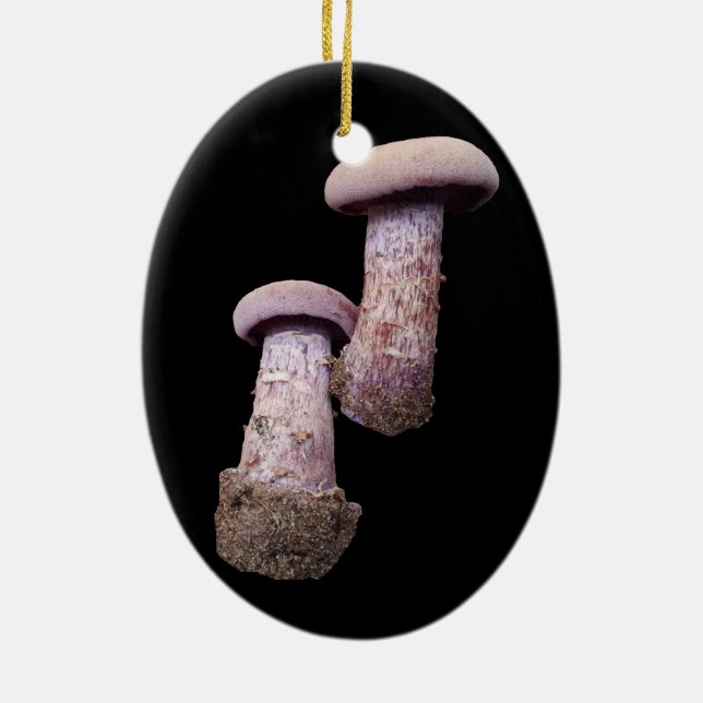 Ornamento do amante do mushroom (Verso)