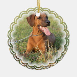 Ornamento do cão de Rhodesian Ridgeback