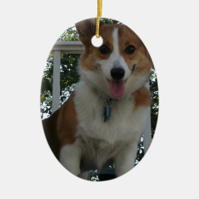 Ornamento do cão do Corgi (Frente)