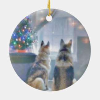 Ornamento do círculo