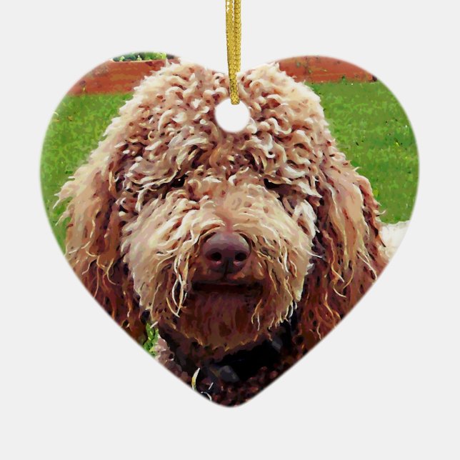 Ornamento do coração da pintura do Doodle (Frente)