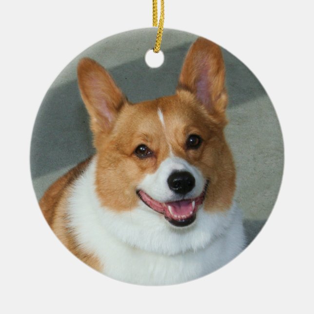 Ornamento do Corgi de Galês (Frente)