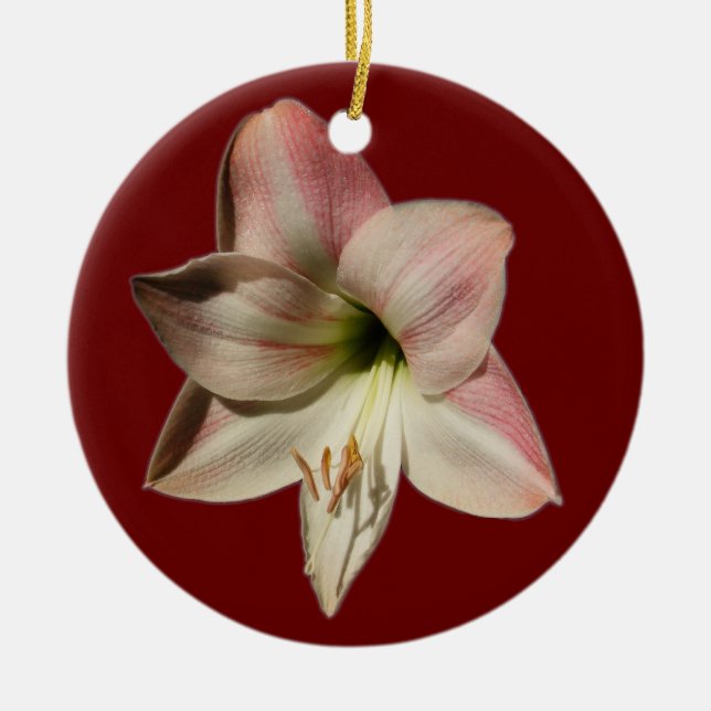 Ornamento do ~ do Amaryllis (Frente)